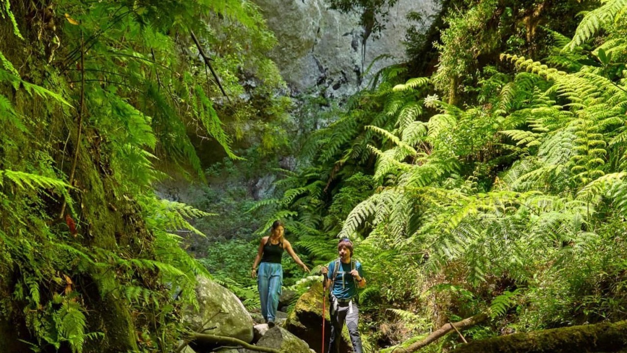 Photo of Others in Santa Cruz de la Palma
