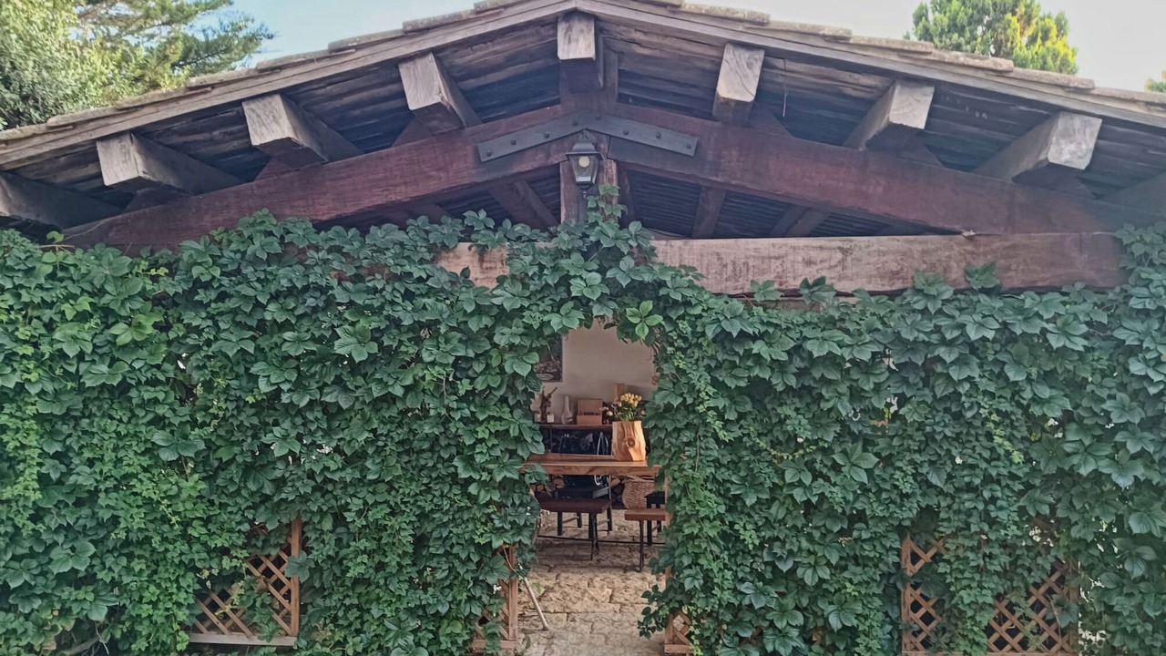 Photo of Outdoor in Sant Andreu de Llavaneres
