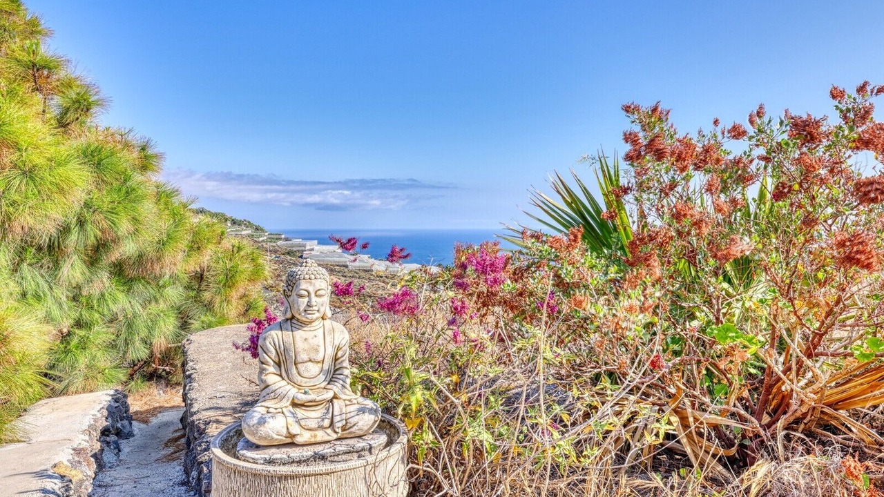 Photo of Outdoor in Puerto Naos