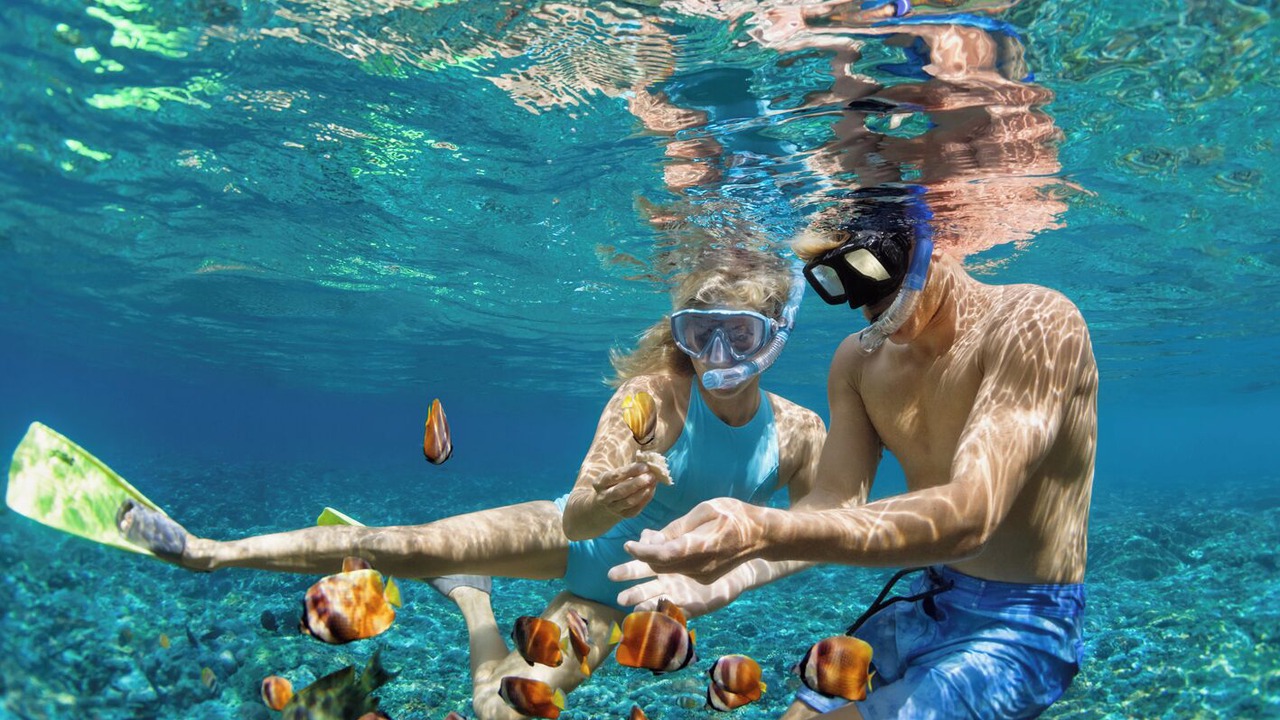 Photo of Others in Radazul