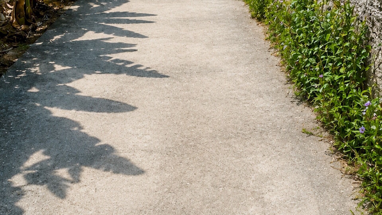 Photo of Others in Los Realejos