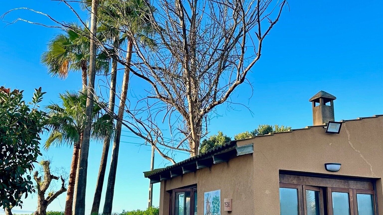 Photo of Outdoor in Son Ferriol