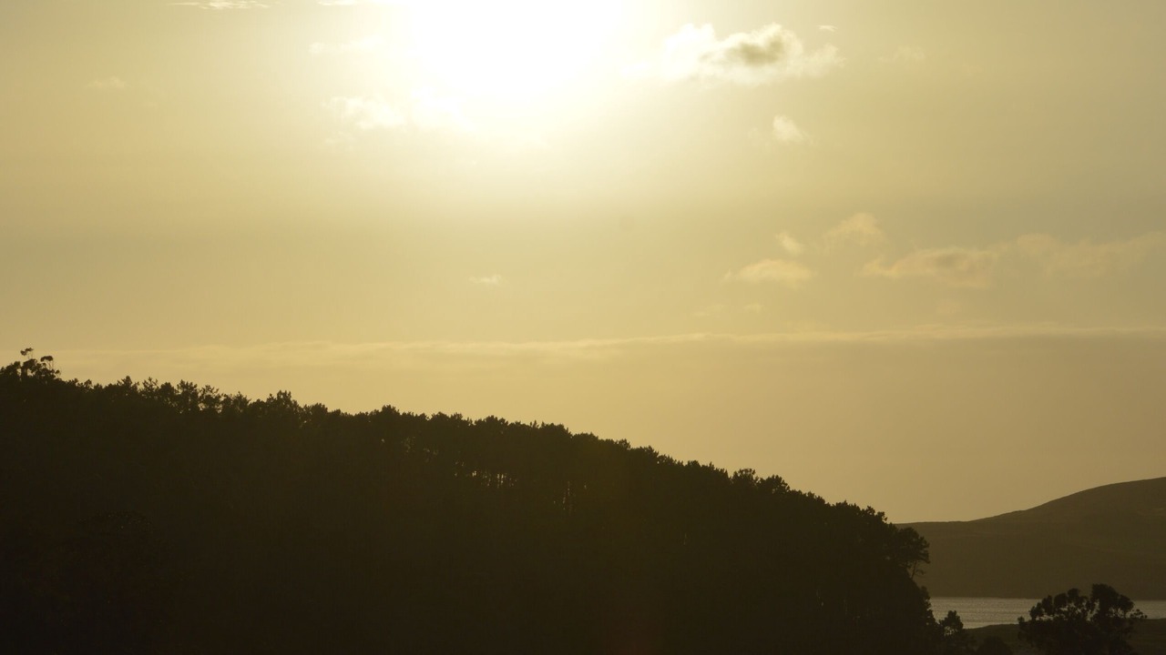 Photo of Others in Lires