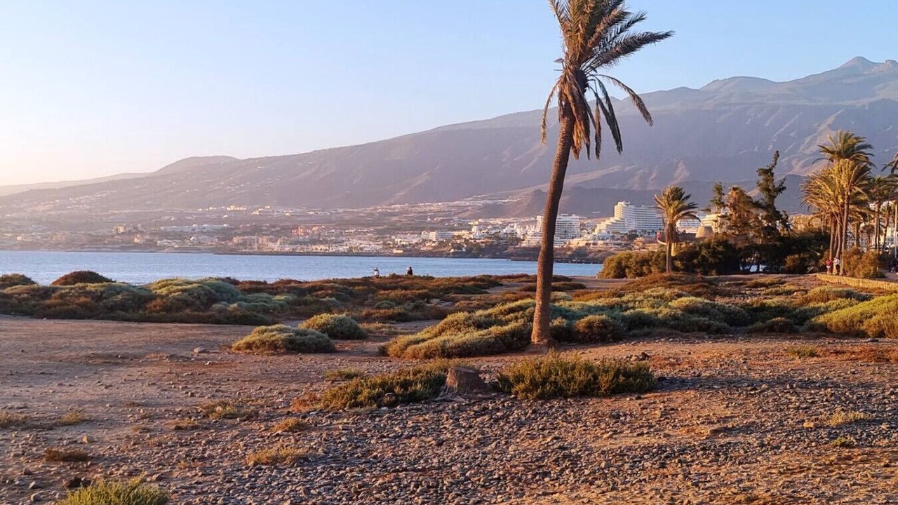 Photo of Others in Chayofa