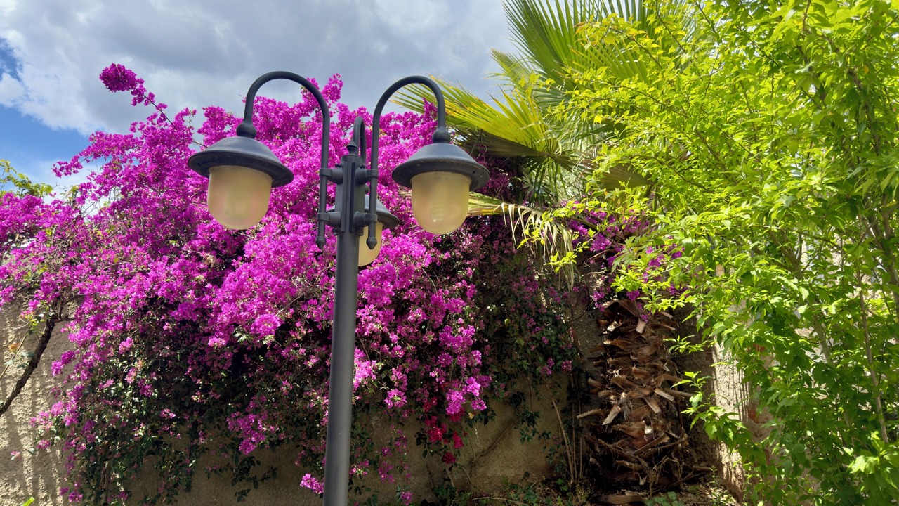 Photo of Outdoor in Riells del Fai