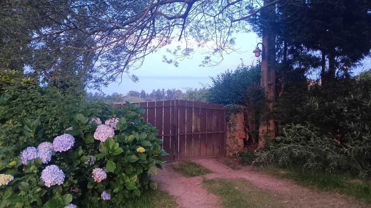 Photo of Outdoor in Tornon