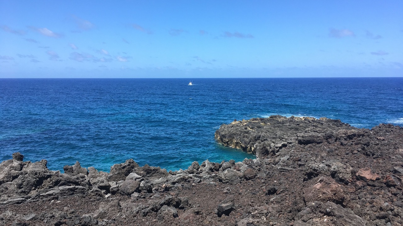 Photo of Others in El Golfo