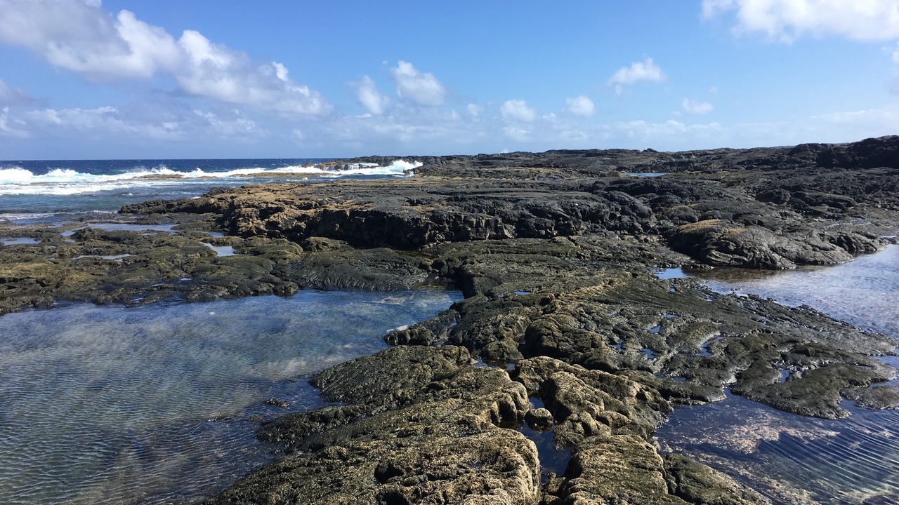 Photo of Others in El Golfo