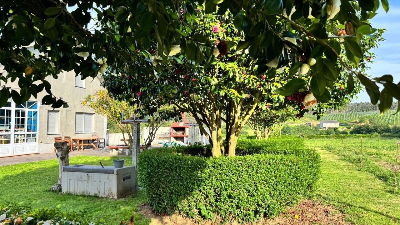 Photo of Outdoor in Foz