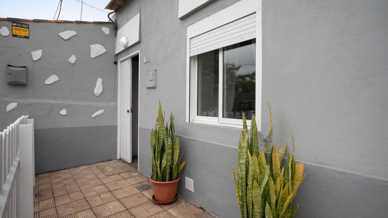 Photo of Outdoor in Tacoronte