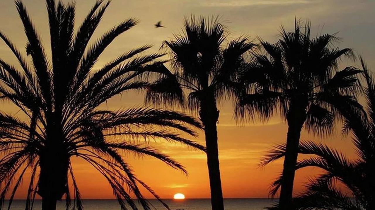 Photo of Outdoor in Carretera de Cadiz