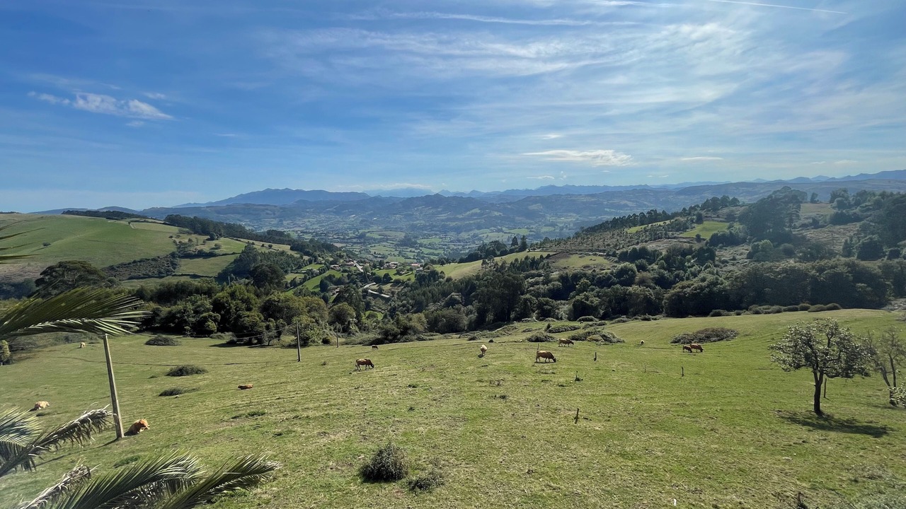 Photo of Others in Villaviciosa