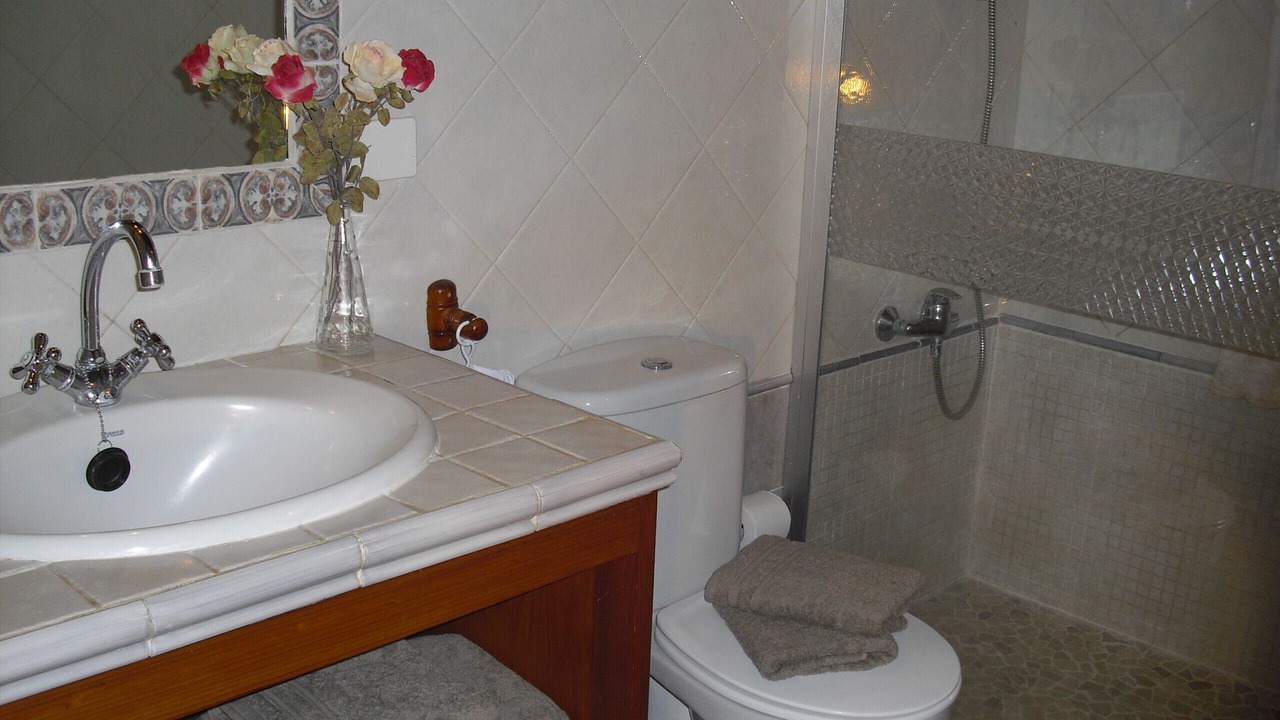Photo of Bathroom in Tejina