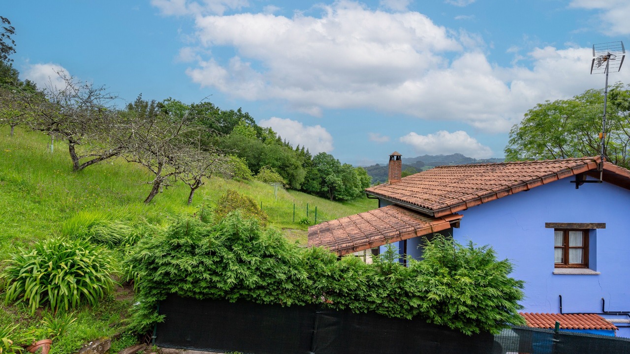 Photo of Outdoor in Camoca