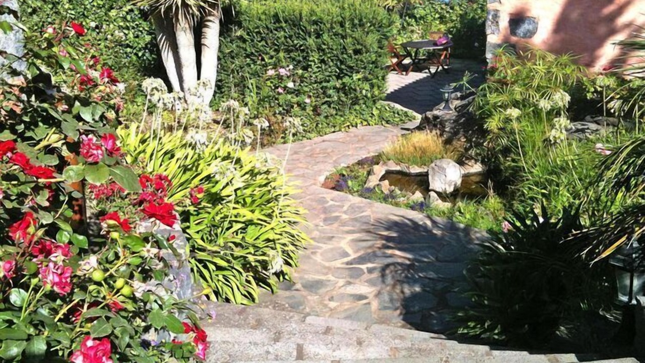 Photo of Outdoor in Los Realejos