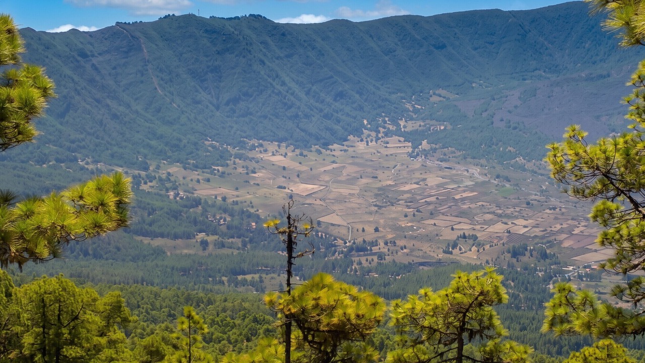 Photo of Others in Santa Cruz de la Palma