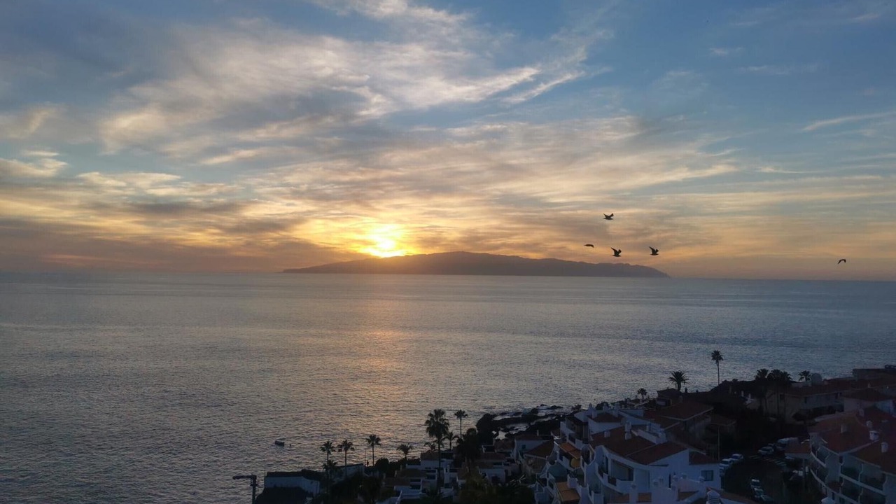 Photo of Others in Puerto de Santiago