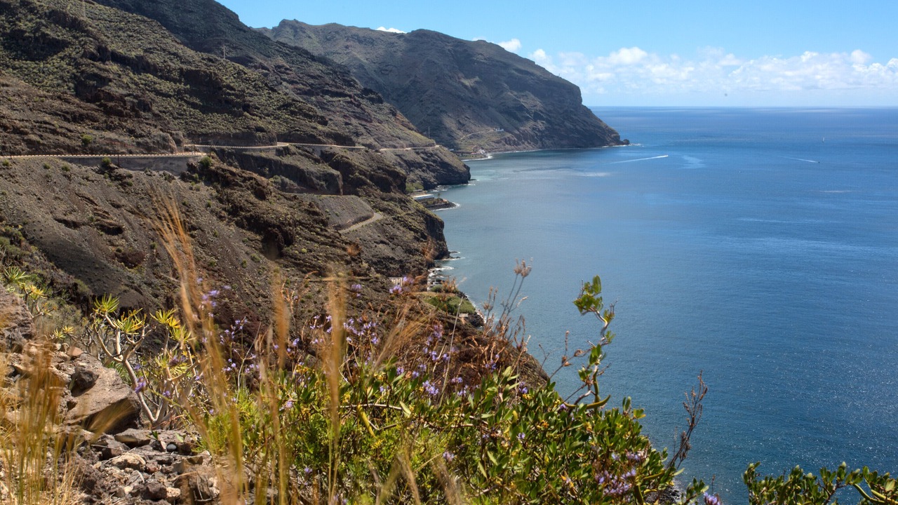 Photo of Others in Santa Cruz de Tenerife