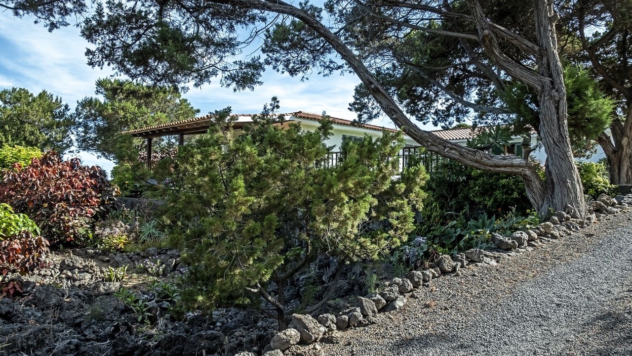 Photo of Outdoor in Garachico