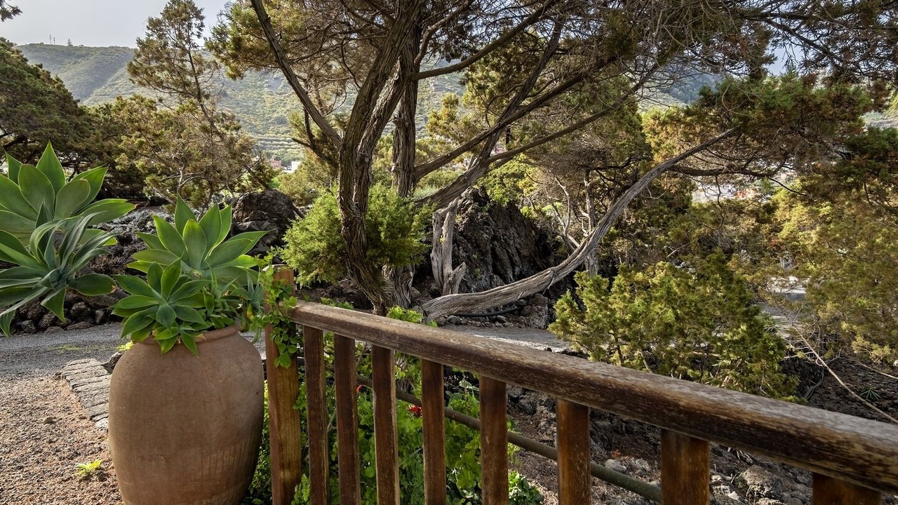 Photo of Outdoor in Garachico