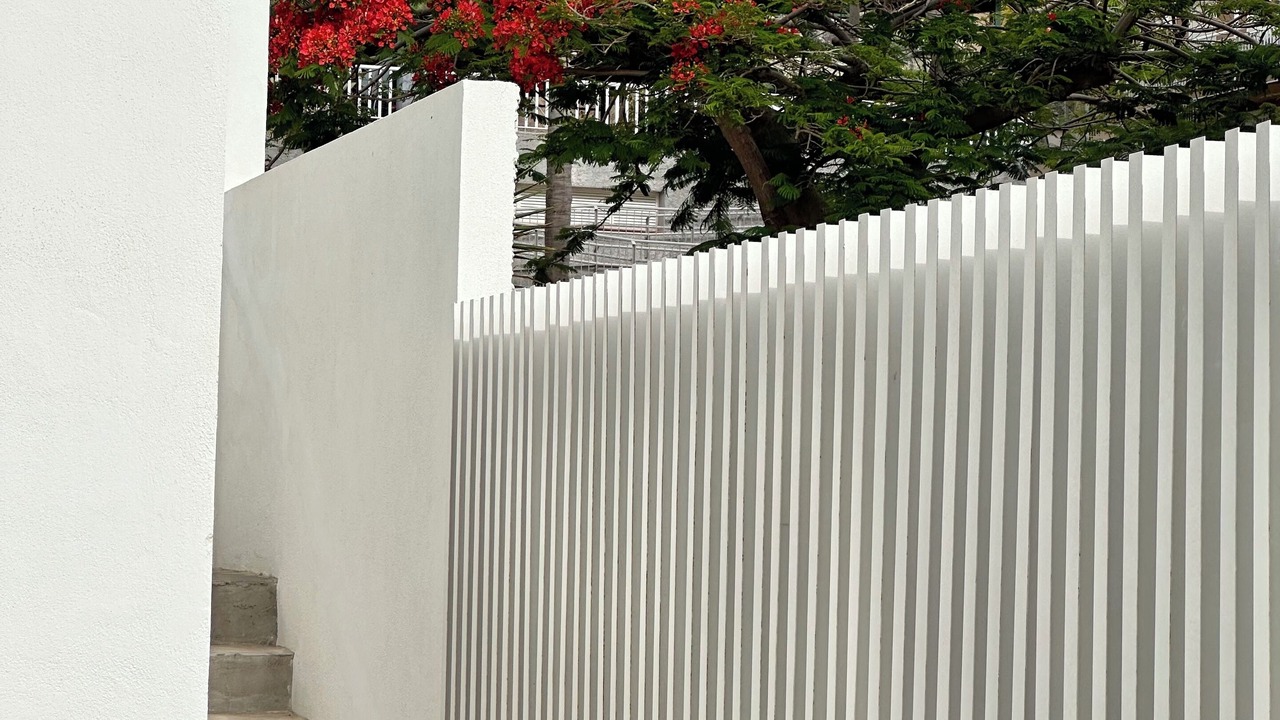 Photo of Outdoor in Candelaria
