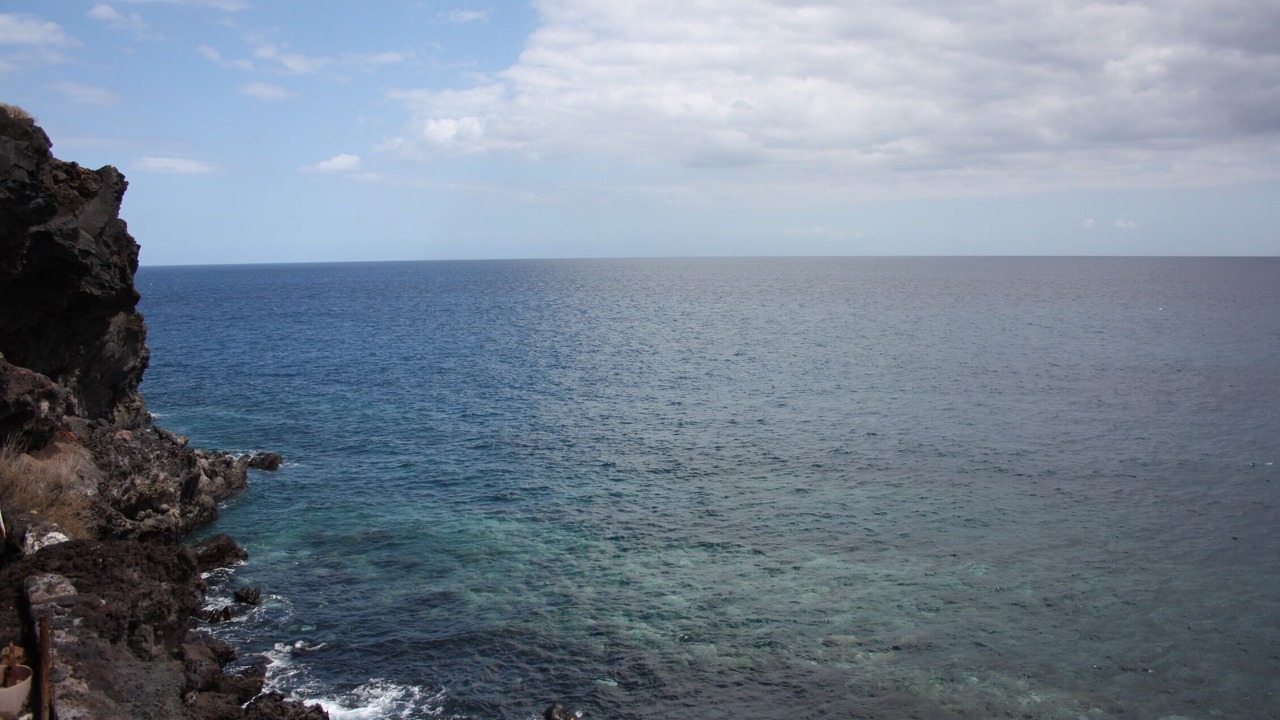 Photo of Others in Guimar