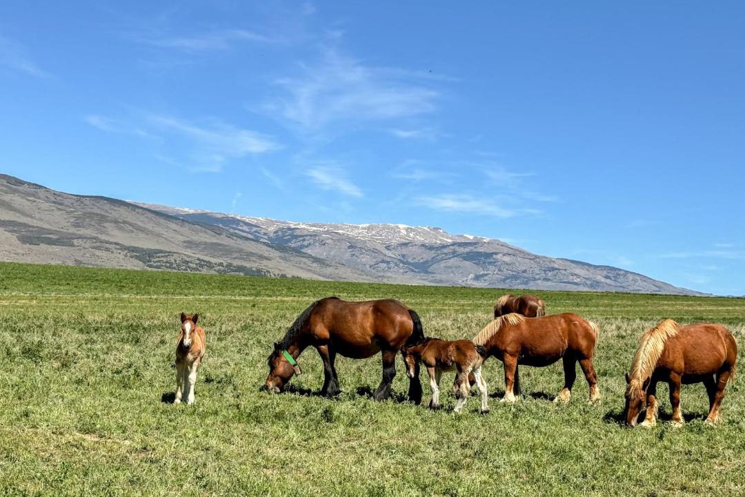 Photo of Others in Bellver de Cerdanya
