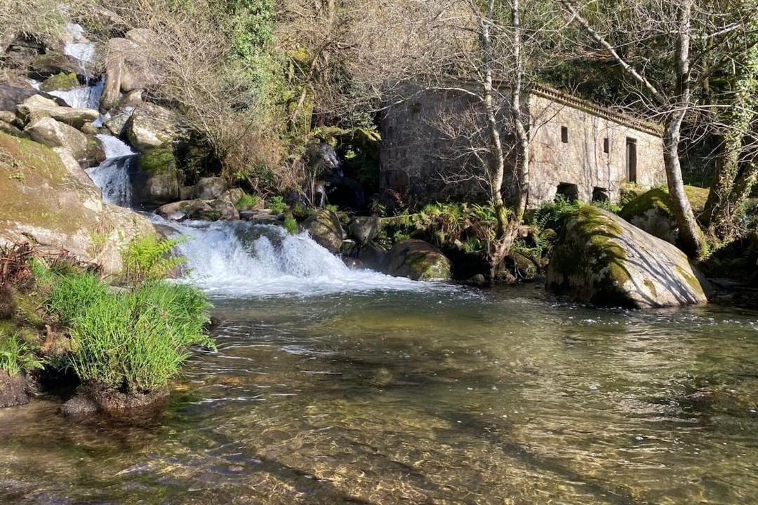 Photo of Others in Caldas de Reis