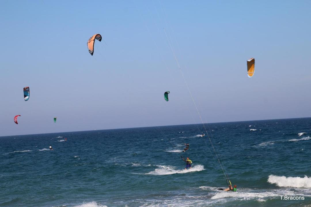 Photo of Others in Parc de Mont-roig