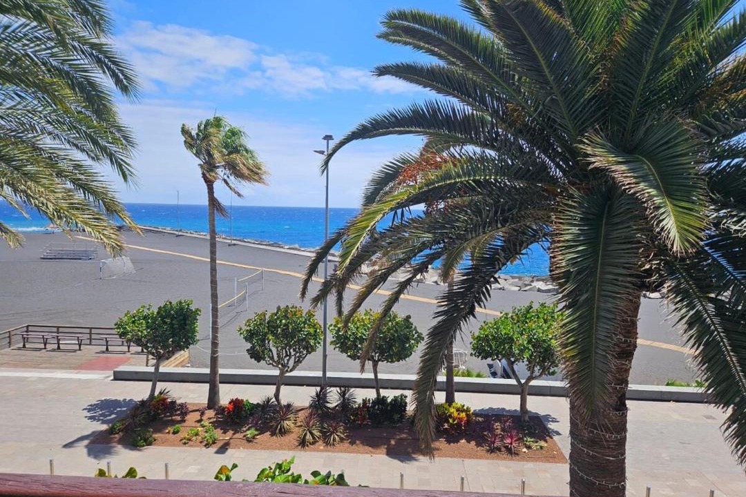 Photo of Others in Santa Cruz de la Palma