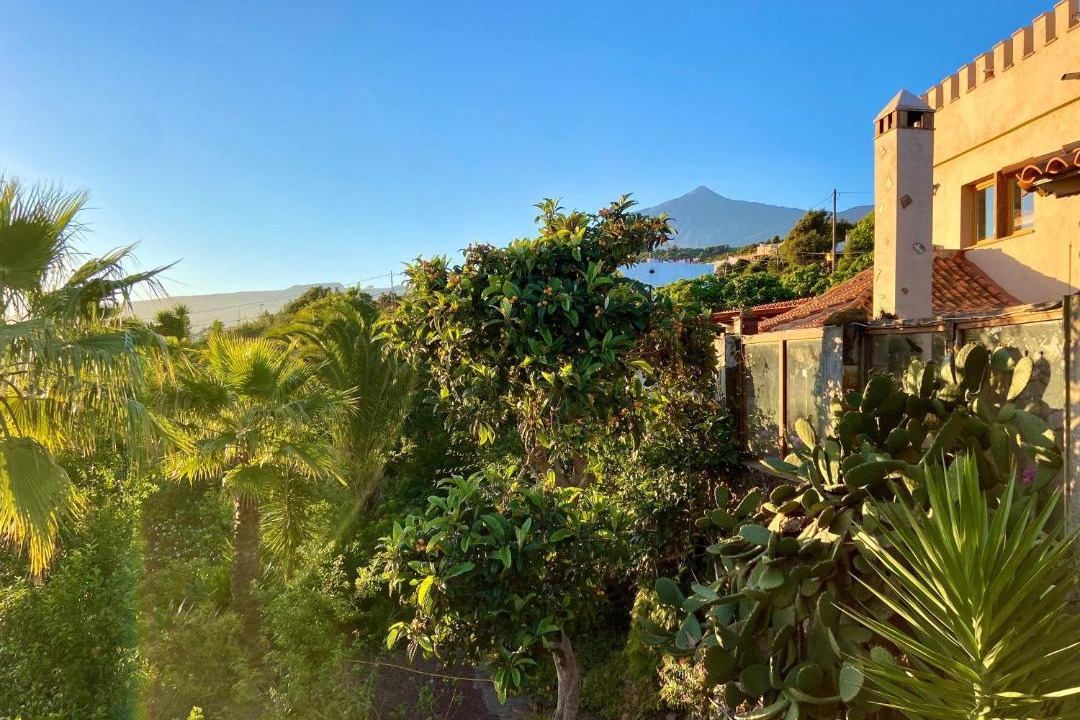 Photo of Others in Icod de los Vinos