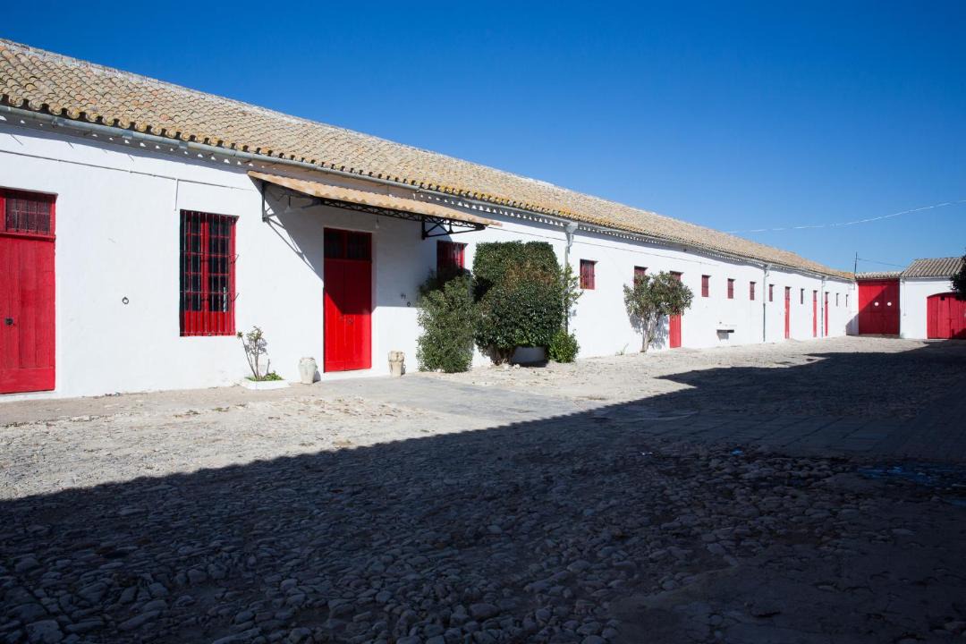 Photo of Others in Jerez de la Frontera