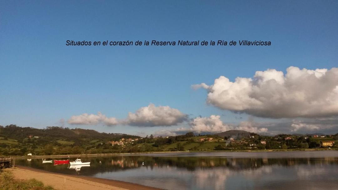 Photo of Others in Selorio