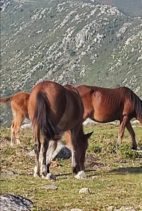 Photo of Others in Rianxo