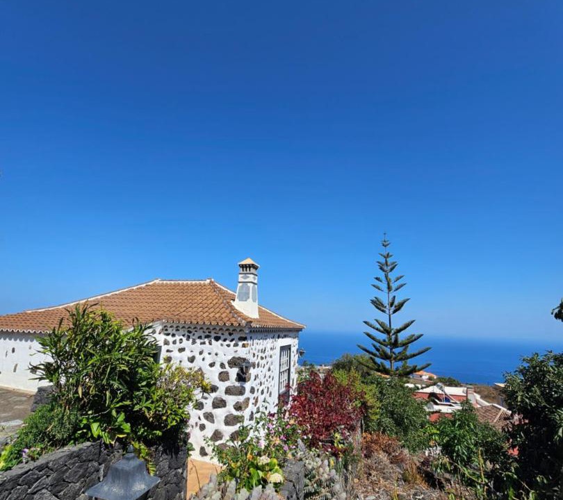 Photo of Others in Brena Baja