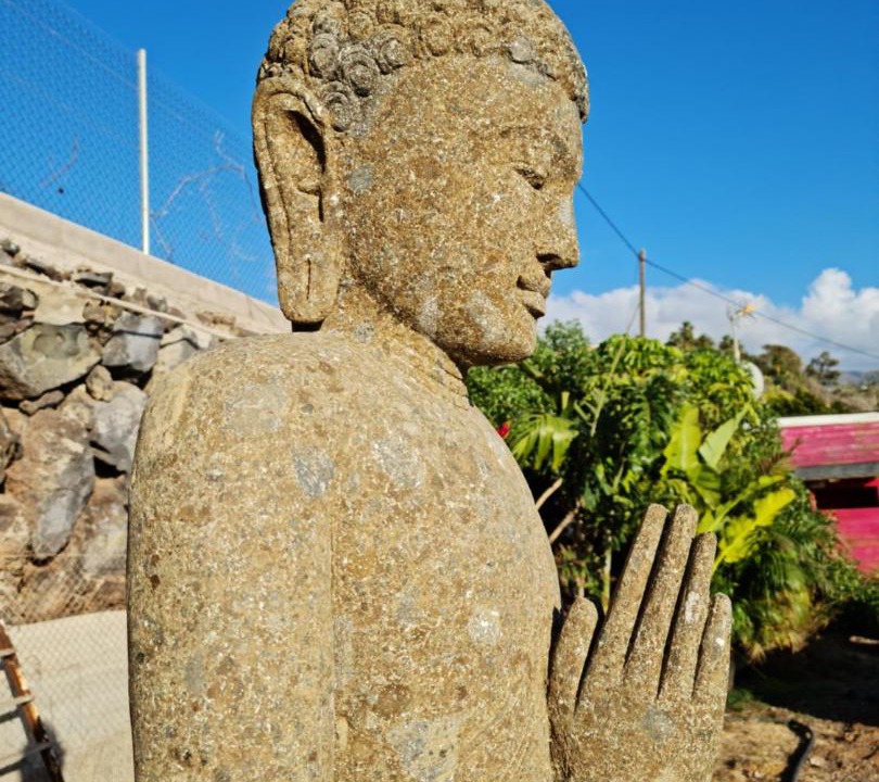 Photo of Others in Guia de Isora