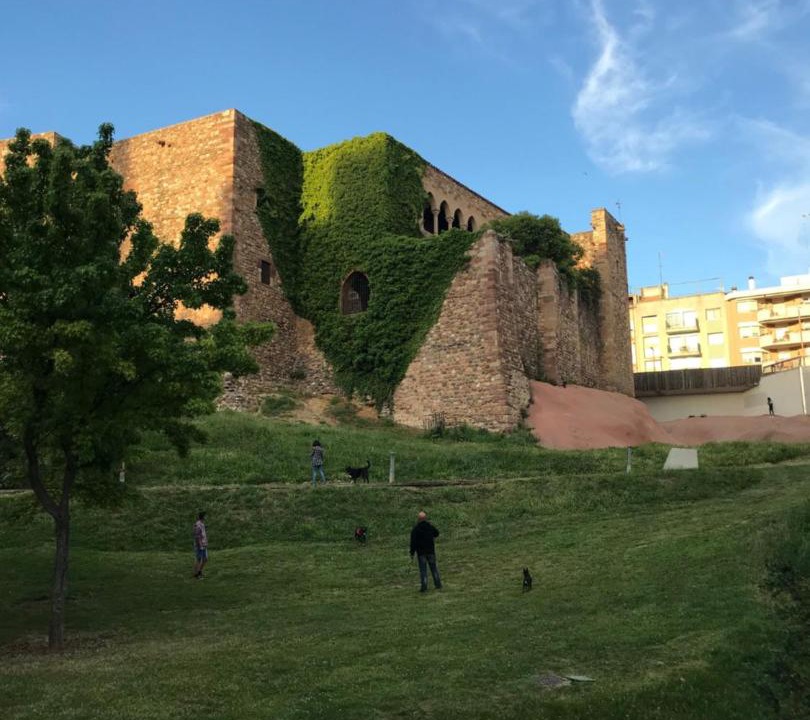 Photo of Others in Terrassa