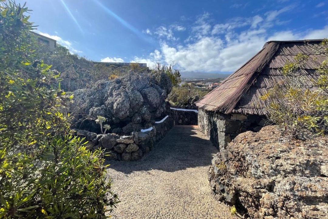 Photo of Others in Buen Paso