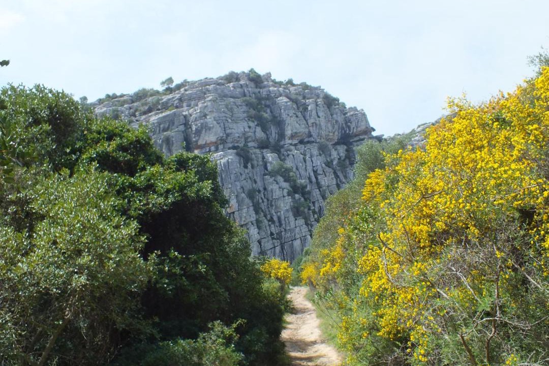Photo of Others in Casares