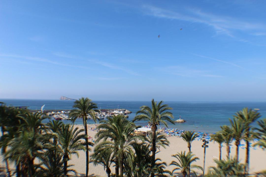 Photo of Others in Benidorm Centro