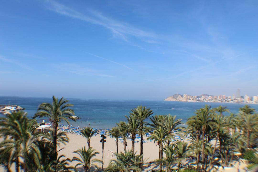 Photo of Others in Benidorm Centro