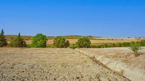 Jerez de la Frontera House | Casa Rural Viña Romanito Jerez de la Frontera by Ruralidays