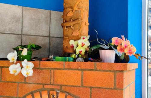 Tajuya House | La casita del fin del mundo en La Palma