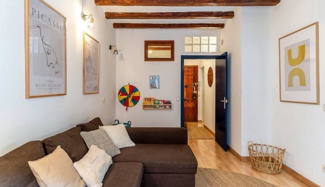 Charming apartment city center