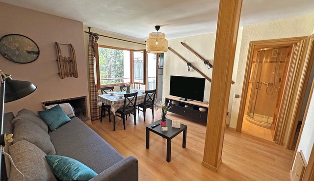 Apartamentos Confort Formigal 3000