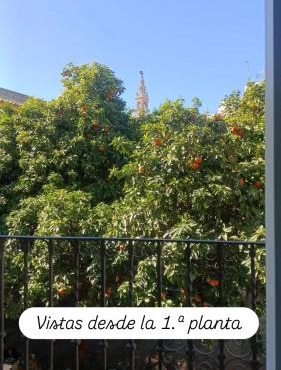 Apartamentos en la Plaza Doña Elvira, 7