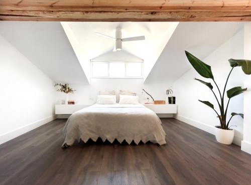Luxury Pintoreria Vitoria
